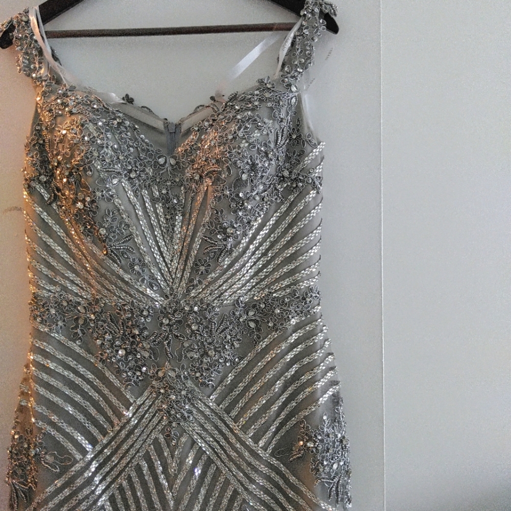 Mother Of The Bride Exquisite silver gown.